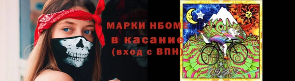 mix Богородицк