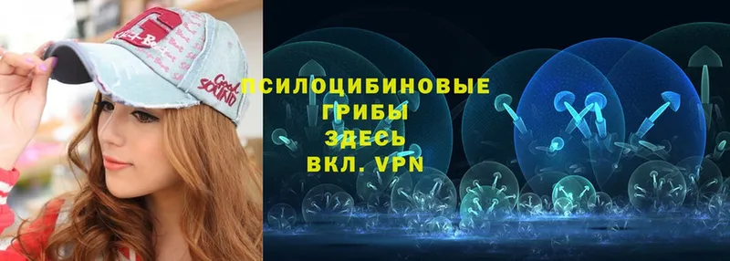 Псилоцибиновые грибы Psilocybe  нарко площадка наркотические препараты  Луховицы 